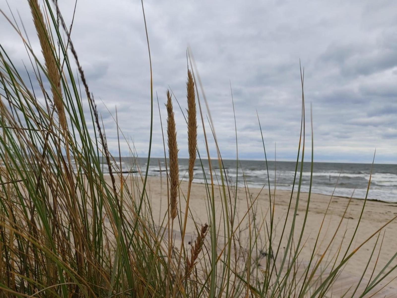 Lutow Ostsee Ferienhaus Usedom Hundefreundlich Familie Stopp Haus 22 מראה חיצוני תמונה
